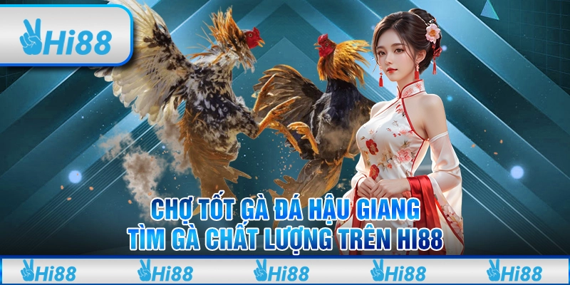 Chợ Tốt Gà Đá Hậu Giang – Tìm Gà Chất Lượng Trên Hi88