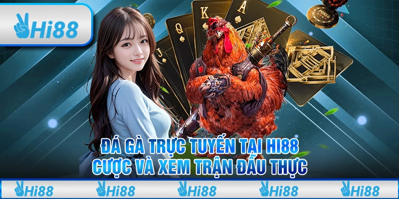 Đá Gà Trực Tuyến Tại Hi88 - Cược Và Xem Trận Đấu Thực