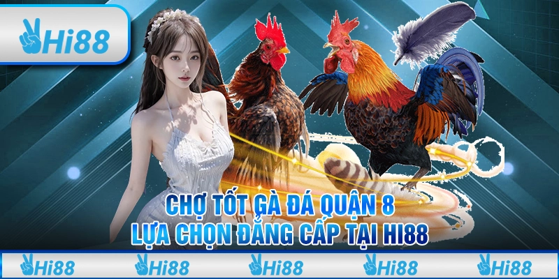 Chợ Tốt Gà Đá Quận 8 – Sự Lựa Chọn Đẳng Cấp Tại Hi88