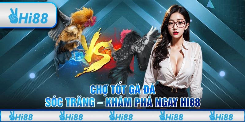 Chợ Tốt Gà Đá Sóc Trăng – Khám Phá Ngay Cùng Nhà Cái Hi88