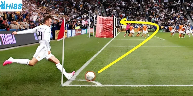 Tham gia cá cược nhanh chóng tại nhà cái Hi88