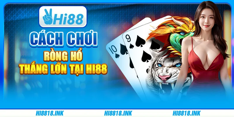 Cách Chơi Rồng Hổ – Thắng Lớn Tại Nền Tảng Giải Trí Hi88