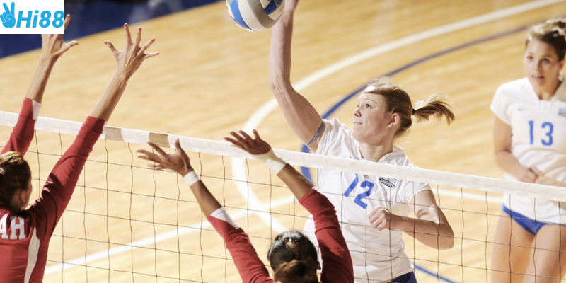 Chọn môn thể thao yêu thích và tham gia cược dễ dàng