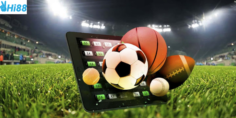 Hiểu được các loại cược giúp bạn lựa chọn chính xác