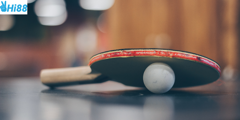 Tỷ lệ cược hấp dẫn giúp người chơi tối ưu lợi nhuận