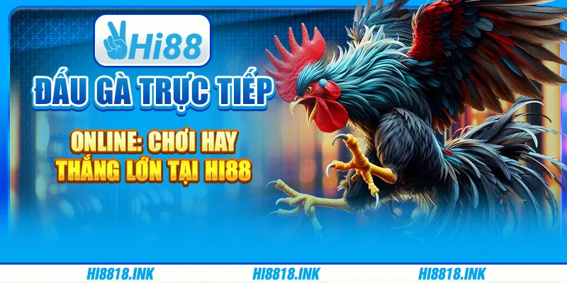 Đấu Gà Trực Tiếp Online: Chơi Hay, Thắng Lớn Tại Hi88