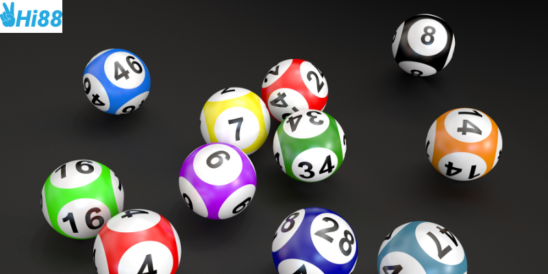 Khám phá sức hấp dẫn của lô gan miền Bắc