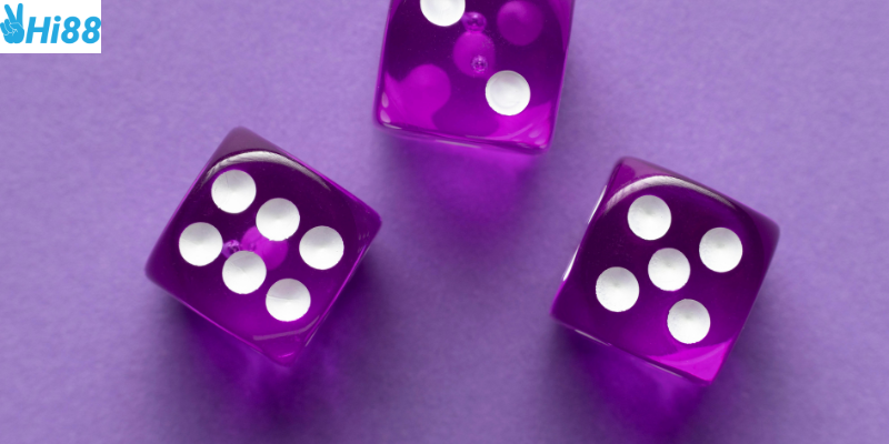 Phân tích kết quả và quản lý vốn