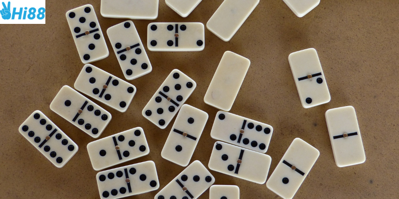 Quan sát và tận dụng tối đa cơ hội