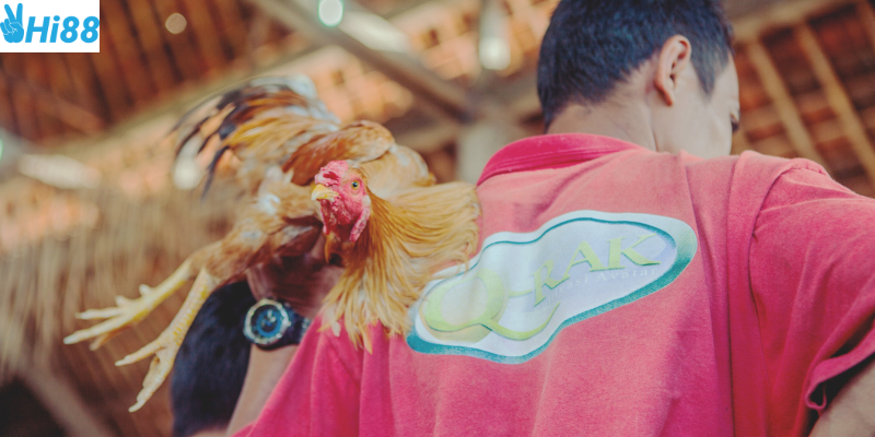 Tạo tài khoản và tham gia đặt cược dễ dàng