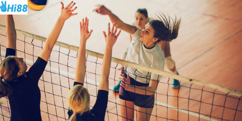 Xây dựng kinh nghiệm cược bóng chuyền cùng nhà cái