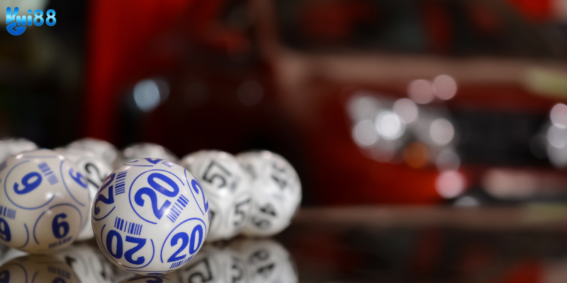 Khám phá sức hấp dẫn của dàn đề chạm