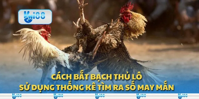 Cách bắt bạch thủ lô: Sử dụng thống kê tìm ra số may mắn