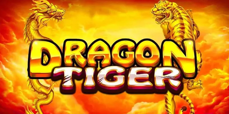 Vài nét về dragon tiger