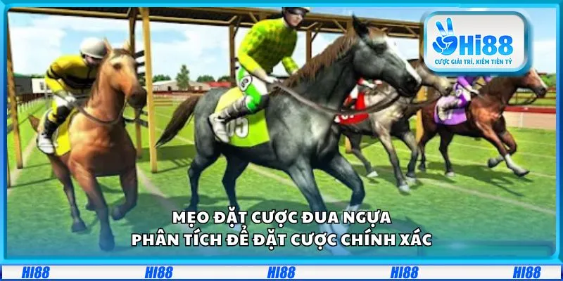 Mẹo đặt cược đua ngựa: Phân tích để đặt cược chính xác