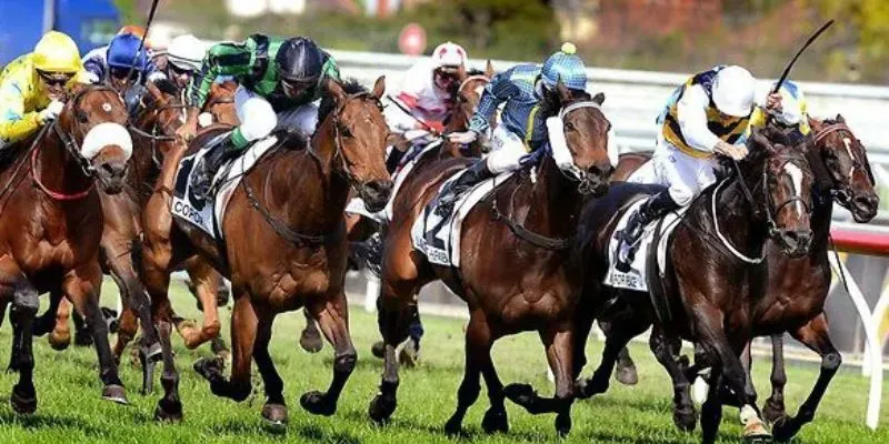 Lợi ích cần biết khi đặt cược đua ngựa