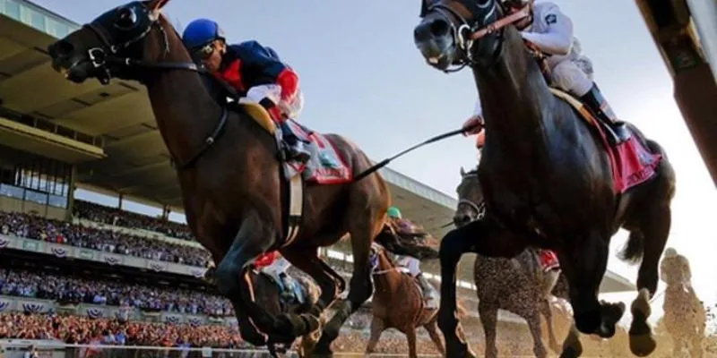 Các loại cược đua ngựa phổ biến